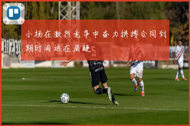 小杨在激烈竞争中奋力拼搏合同到期时间迫在眉睫